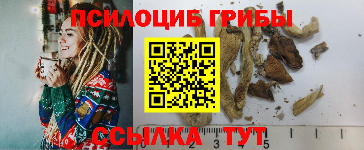 Псилоцибиновые грибы GOLDEN TEACHER Белореченск